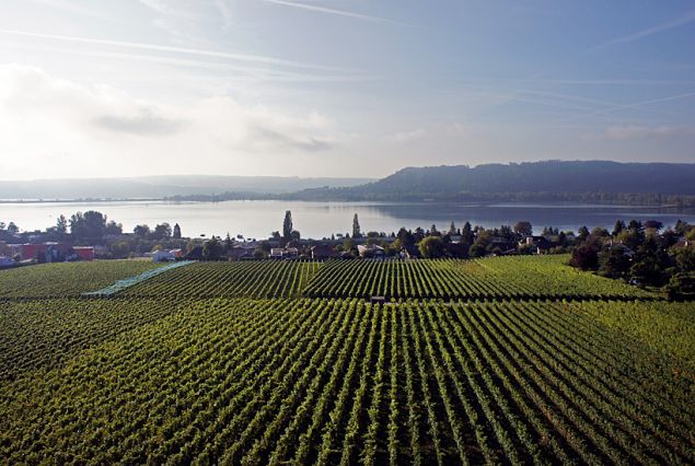 Grillette Domaine De Cressier, Cressier