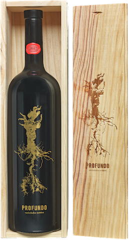  Profundo VdT de Castilla