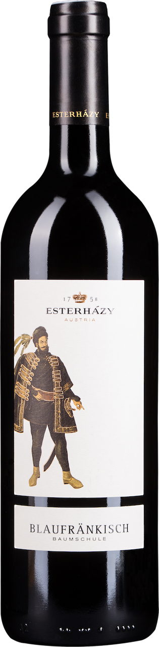 Baumschule Blaufränkisch Burgenland