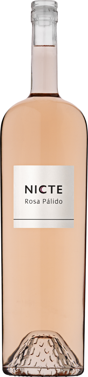 Nicte Rosa Pálido Castilla y León VdT